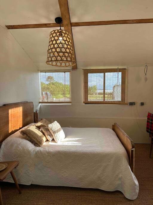 Cosy Cabane Boise Solaire, Balneo Bath Et Toilette Seche A La Ferme Mimizan Bagian luar foto